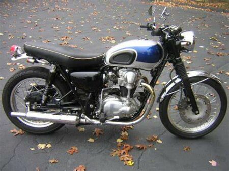 Kawasaki W650/W800 - Stainless Steel Rear Fender