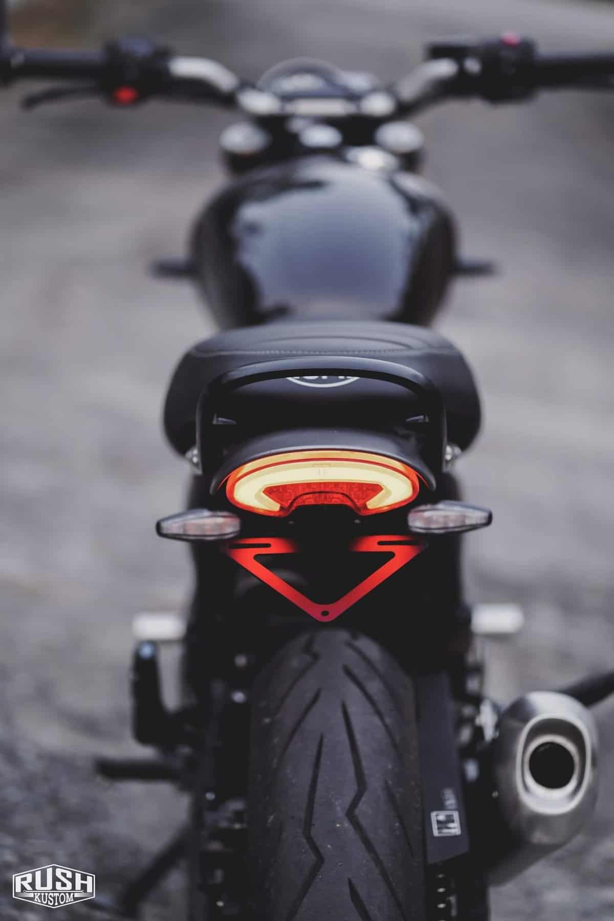 Triumph street scrambler tail tidy cheap